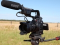 Canon C100