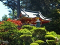 Japanese Tea Garden