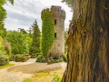 Powerscourt Estate Tower