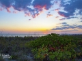 Lido Beach sunset