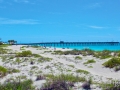 Venice Fishing pier