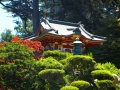Japanese Tea Garden