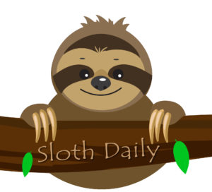 Sloth Daily